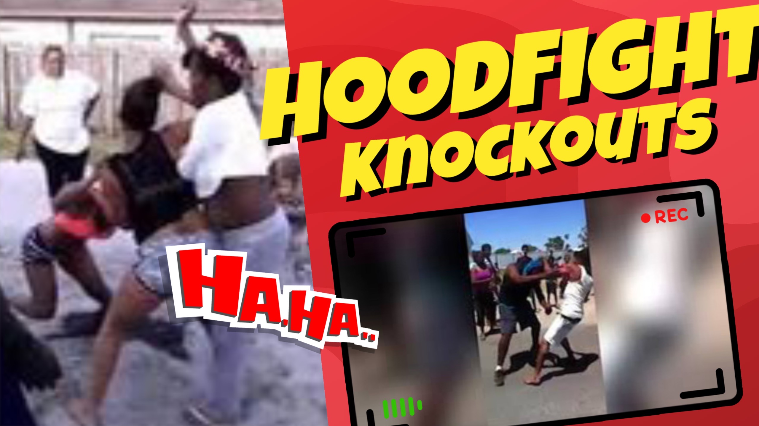 Knockout Street Fights
