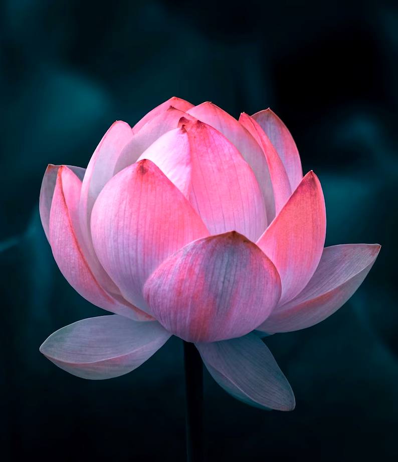 Healing Energy Sound