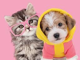 Pet parade