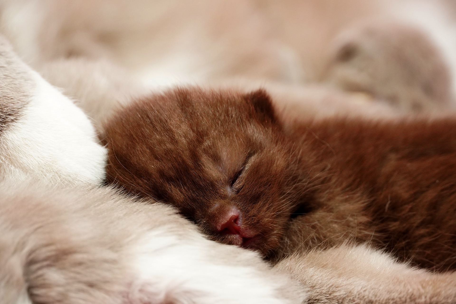 Daily Dose of Cutness