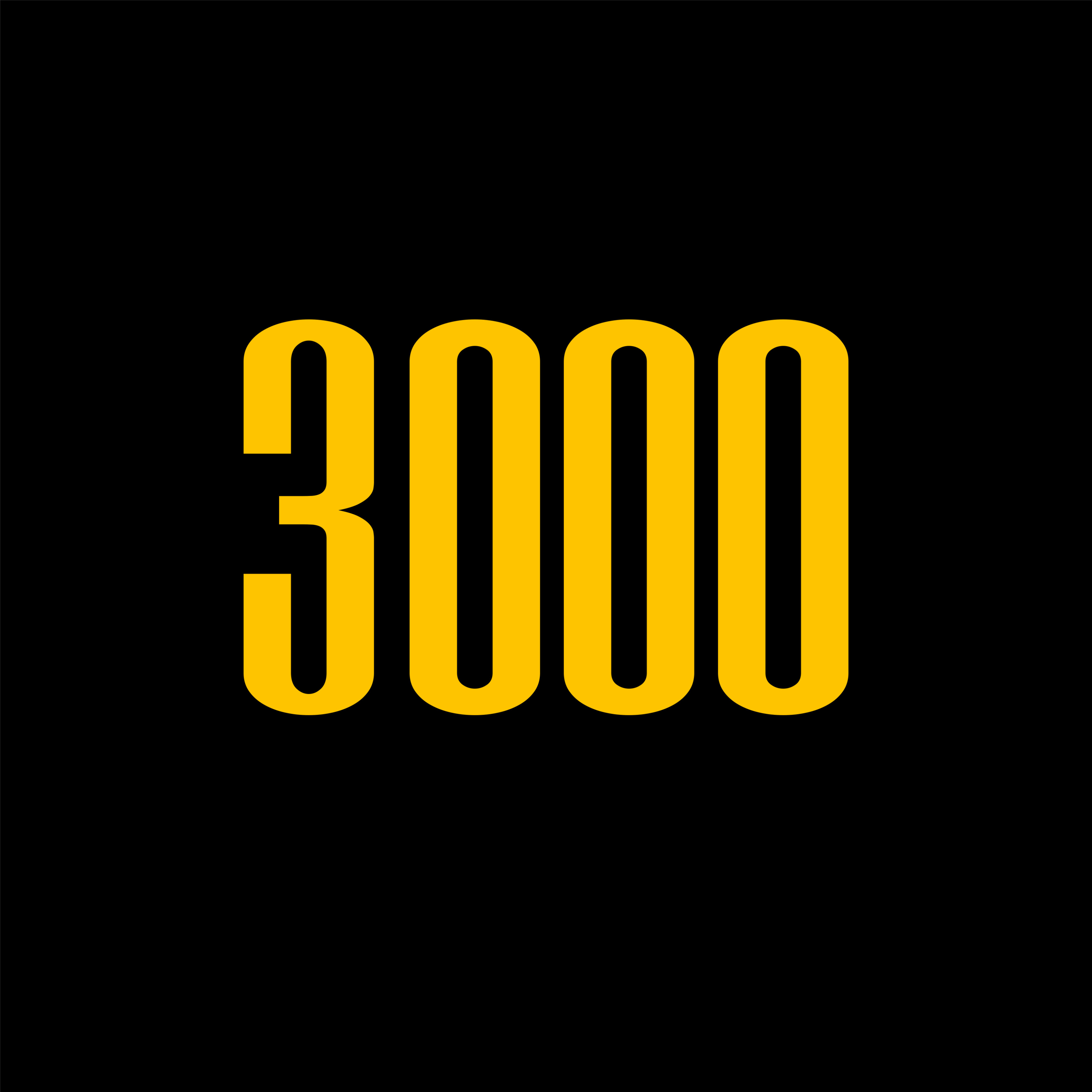 3000
